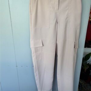 Express Pants